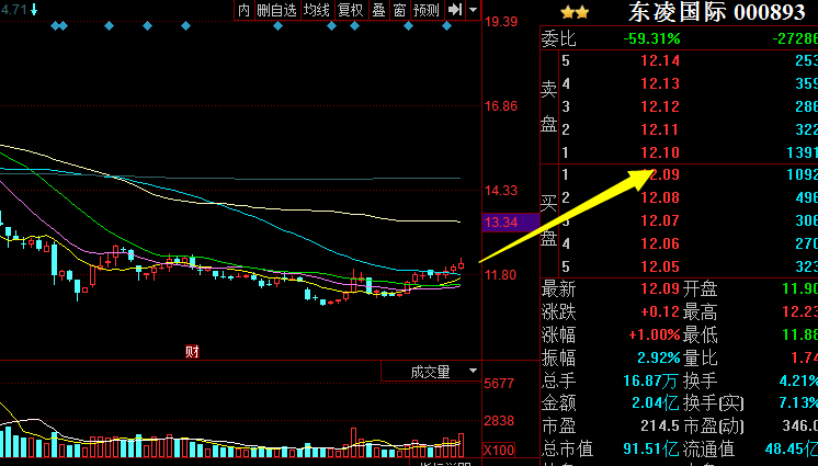 东凌国际(000893)-股票分析 - 爱投顾