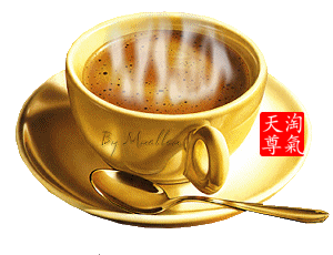 淘气天尊：12月7日新浪直播！（上午版）