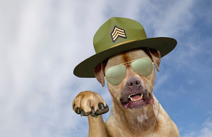 2020年中国会不会成为世界上最穷的国家? 【